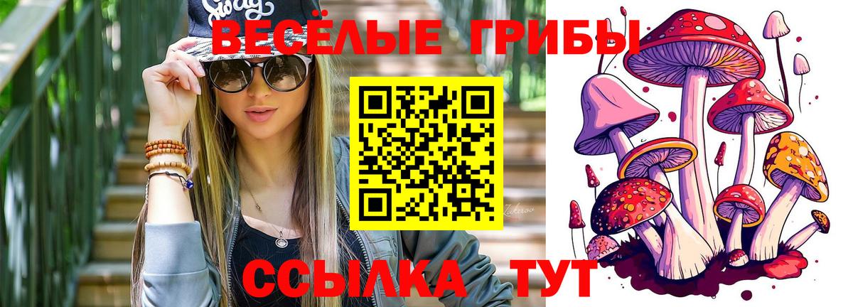 Люберцы  Псилоцибиновые грибы Psilocybine cubensis  Вход с VPN 